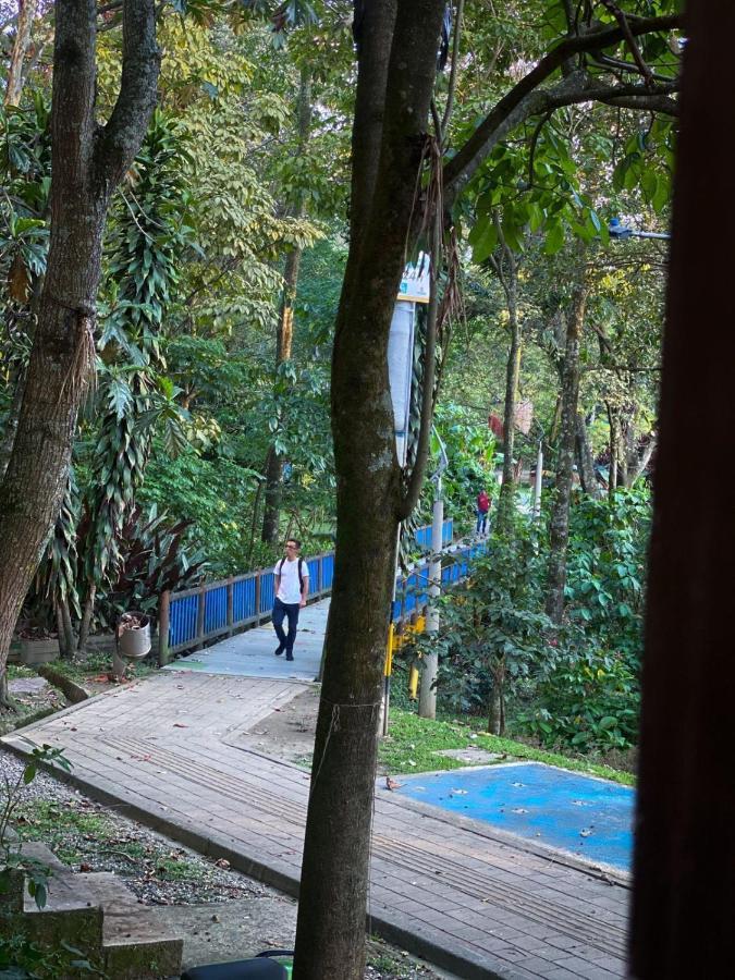 Poblado Living Hotel Medellín Zewnętrze zdjęcie